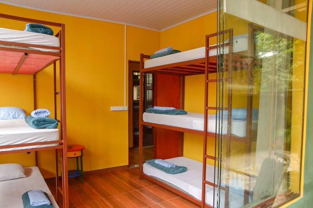 Hostel Mpb Ilha Grande Eksteriør billede